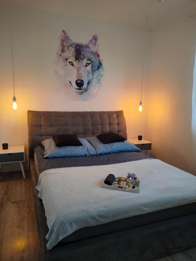 Apartamenty Olenka I - Szczytno Mazury Екстериор снимка